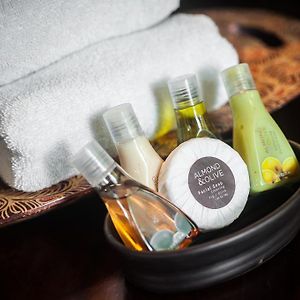 Coconut Suite